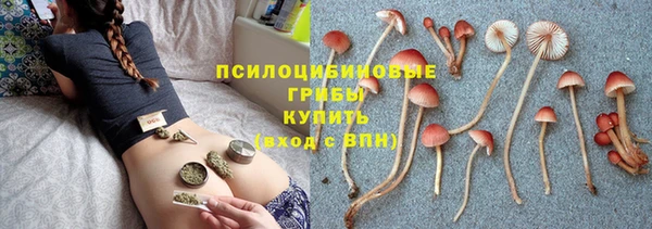 apvp Балабаново